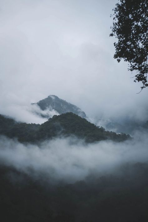 #mountains #fog #landscape #nature Foggy Landscape Aesthetic, Mountains Fog Aesthetic, Foggy Mountains Photography, Mountain Fog Aesthetic, Foggy Aesthetic Hill, Gloomy Mountain Aesthetic, Landscape Photography Mountain, Shadow Mountain Behr Paint, Foggy Mountain Aesthetic