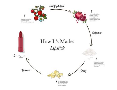 how to make natural lipstick diagram Lipstick Model, Lipstick Ingredients, Natural Lipstick, Vegan Recipe, Natural Cosmetics, Lip Care, Shades Of Red, Lipsticks, Cocoa Butter