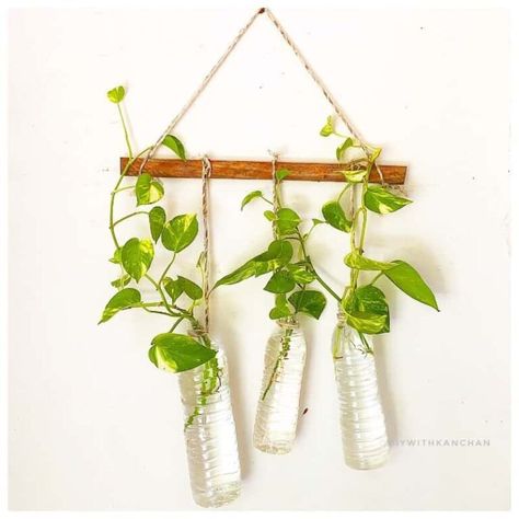 How to Make a Hanging Plant Pot Holder 5 Indoor Hanging Plants, Money Plants, Pot Gantung, Cd Idea, Plant In Glass, Plants Hanging, Plants In Bottles, Plant Pot Design, Propagation Station