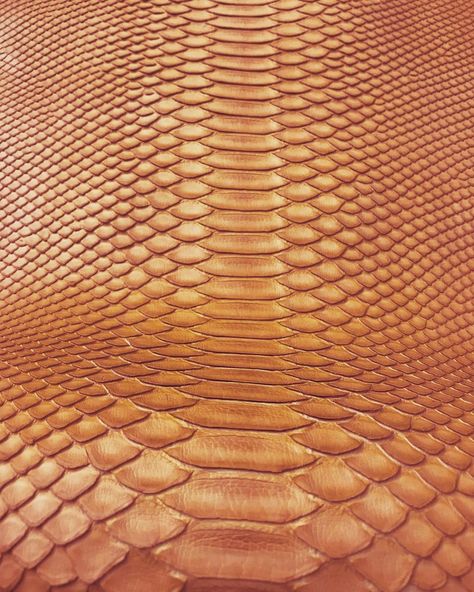 Python Skin, Pan American, American Leather, So Pretty, Python, Snake Skin, Cognac, Sustainable Fashion, Texture