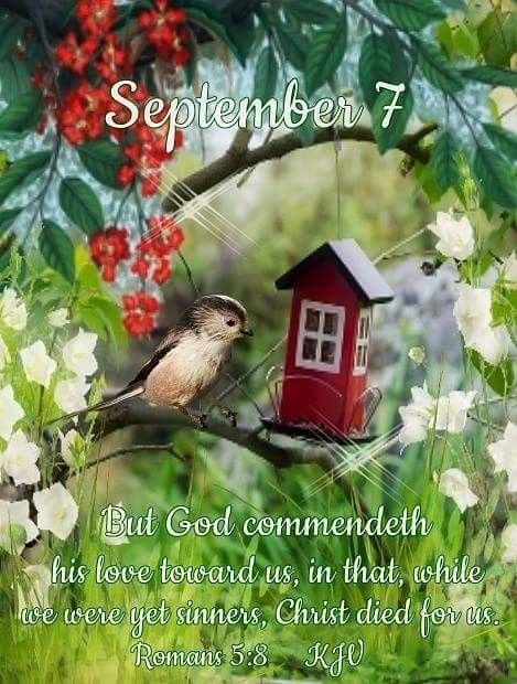 September 7~~J~ Romans 5:8 September 7 Quotes, September 7 Blessings, September Scripture, September Blessings, September Days, Wednesday Morning Greetings, September Images, September Quotes, Good Morning Happy Sunday