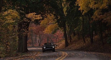 Leaves On The Ground, Gilmore Girl, Fall Mood Board, Autumn In New York, Fall Time, Season Of The Witch, The Secret History, Best Seasons, We Fall In Love