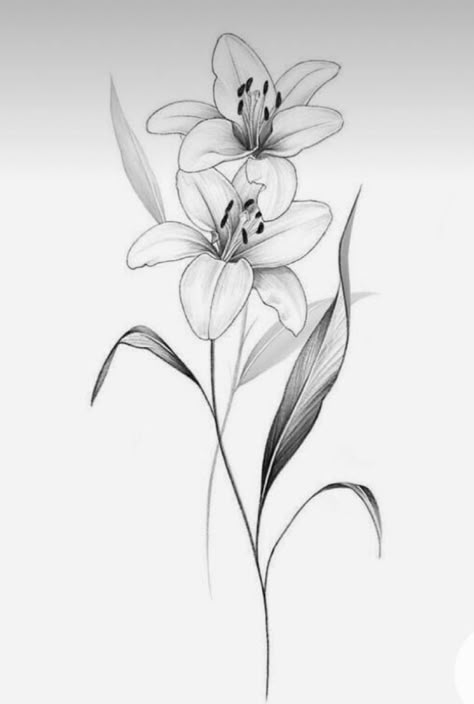 Flower Vine Wrapped Around Leg Tattoo, Lilly Tattoo Design, Lilly Flower Tattoo, Tattoo Silhouette, Tiger Lily Tattoos, Lillies Tattoo, Lily Tattoo Design, Lilies Drawing, Lily Flower Tattoos