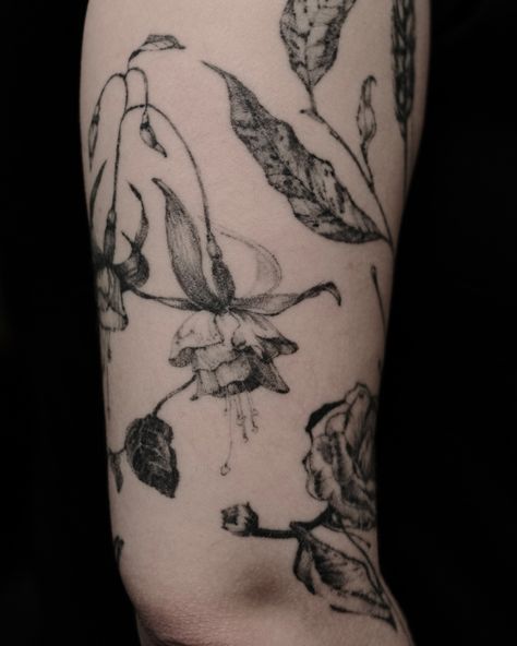 Some healed tattoos from different times and places Dark Botanical Tattoo Sleeve, Botanic Sleeve Tattoo, Fern Floral Tattoo, Greenhouse Tattoo, Witchy Sleeve Tattoo, Botanical Tattoo Sleeve, Scientific Tattoo, Floral Arm Tattoo, Dark Botanical