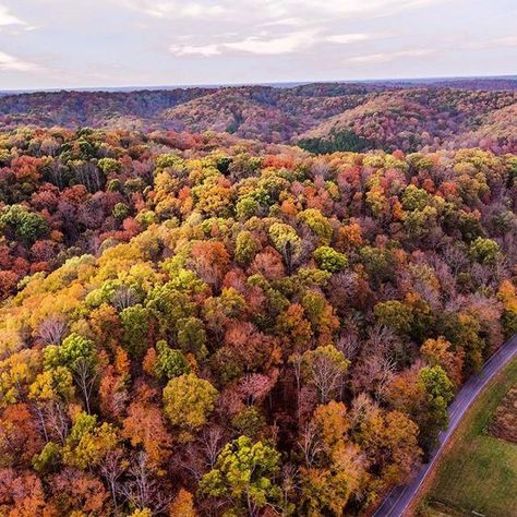 Come for the crunchy leaves and breathtaking views, stay for the unique Southern charm of Franklin, Tennessee. 🍂🧡 We're just a couple of weeks away from peak fall colors in Williamson County! See @tnvacation's 2023 timeline for catching all the best fall sights in Tennessee. Tennessee Fall, Natchez Trace Parkway, Leadership Summit, Natchez Trace, Crunchy Leaves, Tennessee Travel, Franklin Tennessee, Middle Tennessee, Autumn Drives