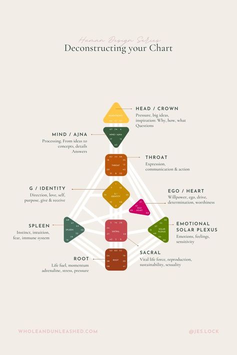 In your Human Design chart you’ll see a graph that contains 9 centers. Depending on your chart some centers might be coloured in (defined) and some might be not (undefined/open)

Each center represents an energy hub.

Find out more about each here Human Design Profile, Human Design Chart, What Is Human, Human Design System, Tarot Astrology, Design 101, Spiritual Health, Human Design, Birth Chart