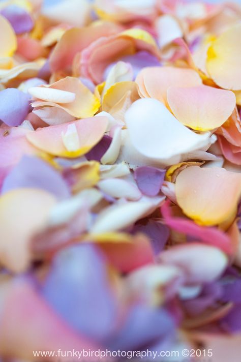 Flower Petals, Rose Petals, Grapes, Color Mixing, Blog Posts, Flowers, Quick Saves, Color