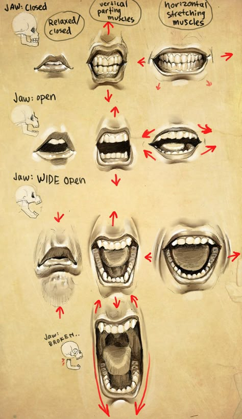 * Mouth & Eye & Ear & Nose * Mouth Expressions, Drawing Mouths, Mouth Shapes, Classical Drawing, Portrait Faces, Mouth Drawing, Drawing Heads, Munnar, Animation Reference