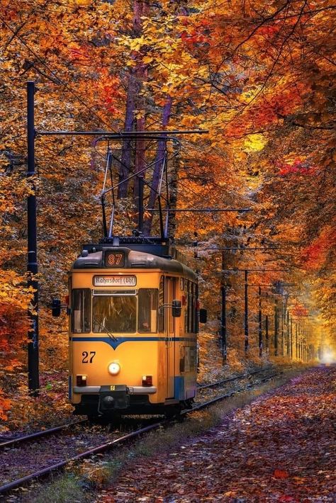 Natural Views, Fall Songs, Life Is A Gift, Time To Leave, Look At The Sky, Orange Aesthetic, Berlin Germany, Eastern Europe, Hello Autumn