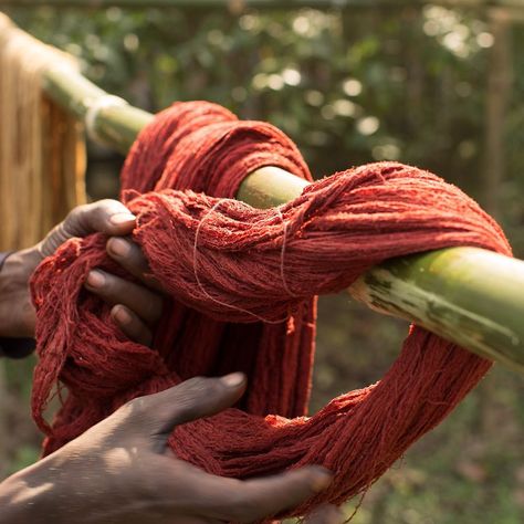 Madder Root, Dreadlocks, Weaving, The 100, Dye, Hair Styles, Hair, On Instagram, Beauty