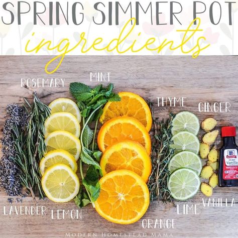 Simmer Pot Recipes That Will Make Your Home Smell Clean & Fresh Diy Stovetop Potpourri, Smell Good Combo, Simmer Pots, Smell Clean, Homemade Potpourri, Simmer Pot Recipes, Stove Top Potpourri, Simmering Potpourri, Healing Salve