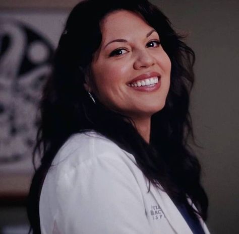 Greys Anatomy Callie, Stephanie Edwards, Grey's Anatomy Doctors, Izzie Stevens, Callie Torres, Sara Ramirez, Mark Sloan, Arizona Robbins, Jessica Capshaw