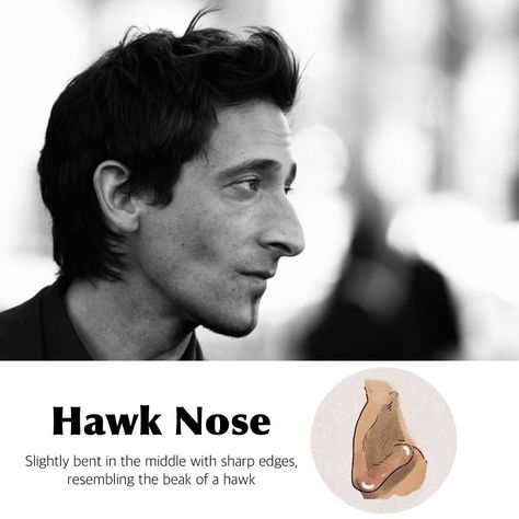 Hook Nose Side Profile, Crooked Nose Men, Crooked Nose Drawing, Character Headshots, Chinese Face Reading, Head References, Facial Aesthetic, Pointy Nose, Write Your Own Book