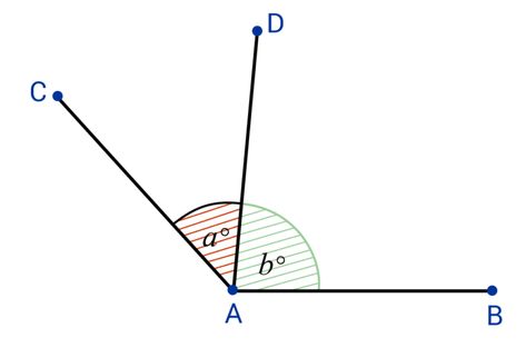 What are Adjacent Angles? [Video & Practice Questions] Adjacent Angles, Angle Pairs, Complementary Angles, Supplementary Angles, Angle Relationships, Types Of Angles, Plant Structure, Be Ready