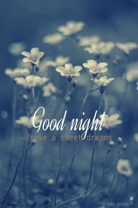 See U Tomorrow, Good Day Wishes, Good Night Prayer Quotes, Good Night Flowers, Slaap Lekker, Good Morning Beautiful Pictures, Good Night Prayer, Good Night Friends, Good Night Gif