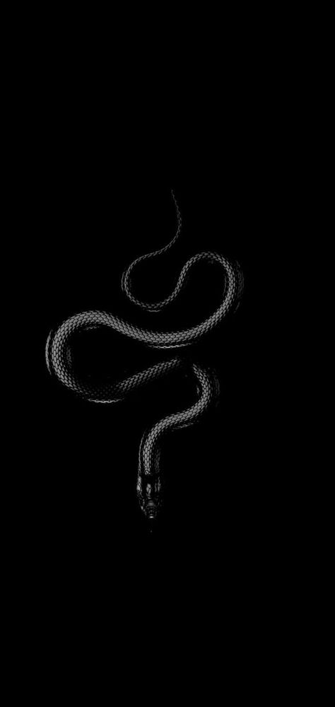 Snake Core, Ios Lockscreen Wallpaper, Tears Of Gold, Serpent Society, Girl Aesthetic Dark, Black Paper Background, Slytherin Vibes, Year Of Snake, Cobra Art