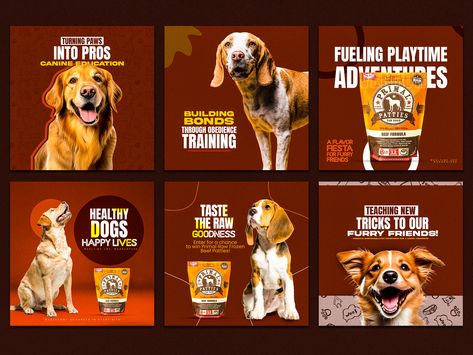 Pet Food Banner | Dogs Food Post | Social Media Post by E Faysal Dog Social Media Post, 2023 Social Media Post, 2023 Social Media, Pet Advertising, Lab Image, Packaging And Label, Food Post, Food Banner, Dog Food Brands