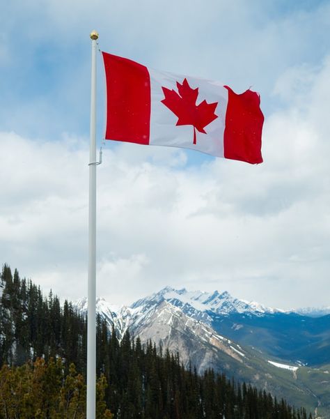 Canadian Flag Aesthetic, Canada Flag Aesthetic, Canada Flag Wallpapers, Flag On House, Manchester Logo, Canada Downtown, Canada Toronto City, Profile Ig, Flag Of Canada