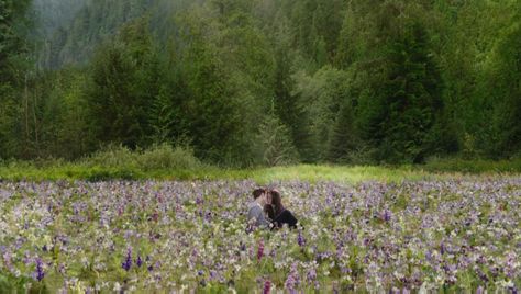 In the meadow Twilight Flower Field, Twilight Breaking Dawn Part 2, Kristen Stewart Robert Pattinson, Twilight Images, Edward And Bella, Bella And Edward, Twilight Breaking Dawn, Breaking Dawn Part 2, Twilight Photos