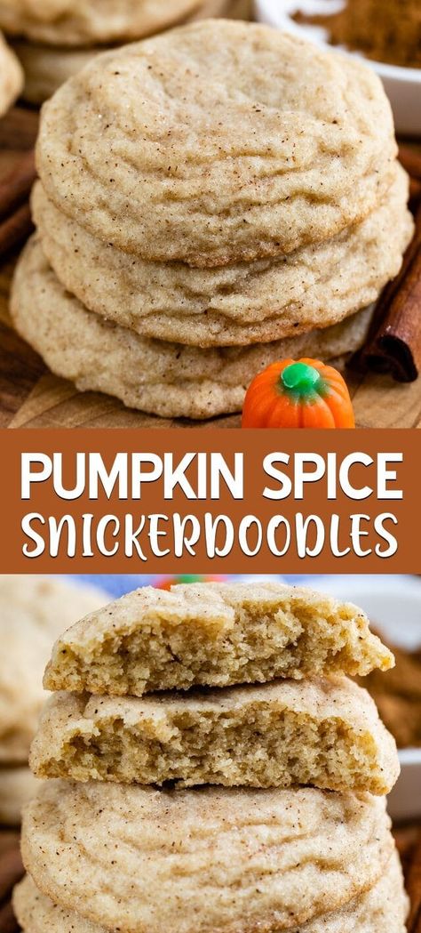 Snickerdoodle Recipes, Fall Cookie Recipes, Snickerdoodle Recipe, Snickerdoodle Cookie Recipes, Cake Mix Recipes, Pumpkin Dessert, Easy Cookie Recipes, Pumpkin Pie Spice, Snickerdoodles