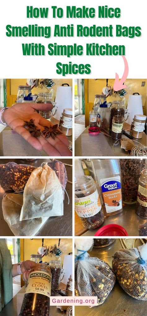 How To Make Nice Smelling Anti Rodent Bags With Simple Kitchen Spices Mice Repellent Bags, Mouse Deterrent Bags, Anti Mouse Bags Diy, Homemade Rodent Repellent, Rodent Repellent Essential Oils, Mouse Repellent Diy With Spices, Repel Mice In Home, Natural Mouse Repellent For Home, How To Keep Mice Out Of Your House