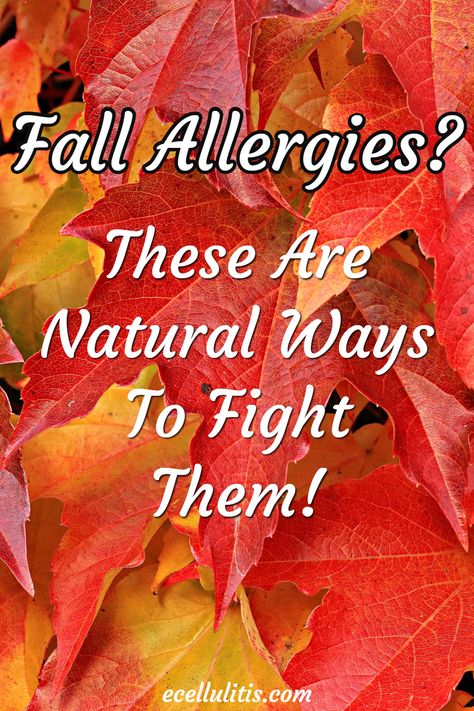 Many natural remedies can work effectively and combat allergies. Specific food and vitamins can help prevent these irritating allergies Sinus Relief Remedies, Natural Allergy Remedies, Help With Allergies, Allergies Remedies, Fall Allergies, Allergy Medicine, Natural Remedies For Allergies, Allergic Rhinitis, Sinus Relief