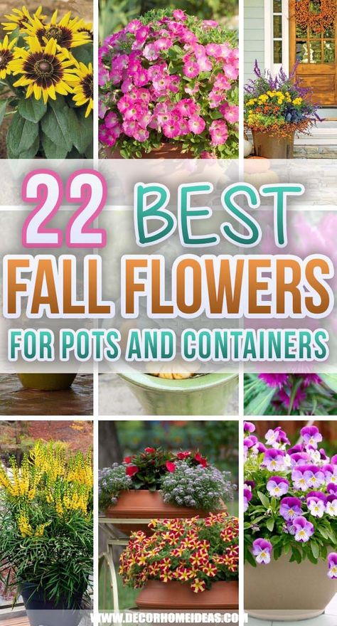 Fall Containers Planters, Outdoor Fall Flowers, Fall Potted Plants, Flowers For Pots, Shade Plants Container, Fall Flower Pots, Fall Container Plants, Fall Pots, Sweet Autumn Clematis