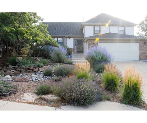 Colorado Gardening, Xeriscape Front Yard, Xeriscape Landscaping, Rock Steps, Dry River, Dry Garden, Studio Flat, Spring Landscape, Backyard Projects