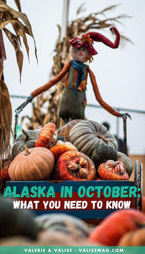 Planning a trip to Alaska in October? Here's a guide to everything you need to know for an Alaska autumn trip: weather, events, and what to pack. Alaska In October, Packing For Alaska, Trip To Alaska, Visit Alaska, Late Autumn, Anchorage Alaska, See The Northern Lights, Alaska Cruise, Alaska Travel