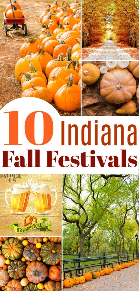 The fall in Indiana brings great weather, football games and beautiful falling leaves.  Indiana also has lots of great fall festivals.  Here are 10 ideas for great fun, food, crafts, activities, games, beer and entertainment! #fallfestivals #indiana #familytravel Indiana Vacation, Best Places To Vacation, Fall Festivals, Fall Dates, Family Festival, Indiana Travel, Activities Games, Indiana State, Fall Travel