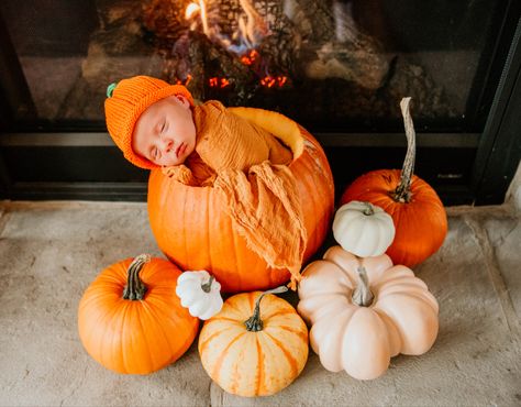 Newborn In Pumpkin Picture, October One Month Baby Pictures, Baby Halloween Photoshoot Ideas At Home, Baby Inside Pumpkin Pictures, Baby Pumpkin Pictures Newborn, Newborn In Pumpkin, November Newborn Photoshoot, Pumpkin Newborn Pictures, Baby In A Pumpkin Picture