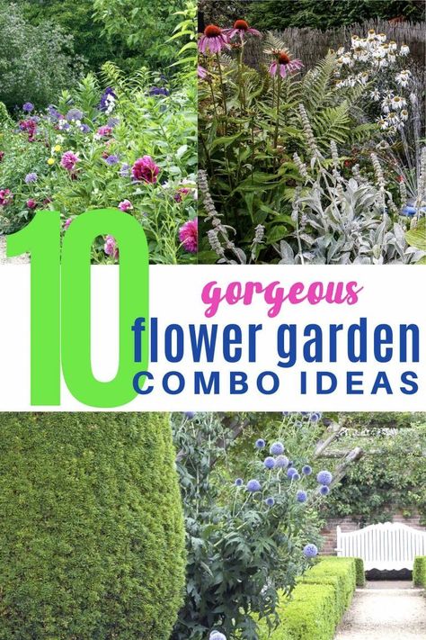 Update your garden design with these tips for creating beautiful plant combinations. Learn how to combine flower colors, leaf shapes and plant sizes to create a gorgeous garden landscape in your yard. #fromhousetohome #gardendesign #gardenlandscaping  #plants #perennialgarden Houston Garden, Flower Combinations, Sun Loving Plants, Short Plants, Best Perennials, Flower Colors, Shade Perennials, Garden Tool Set, Garden Design Ideas