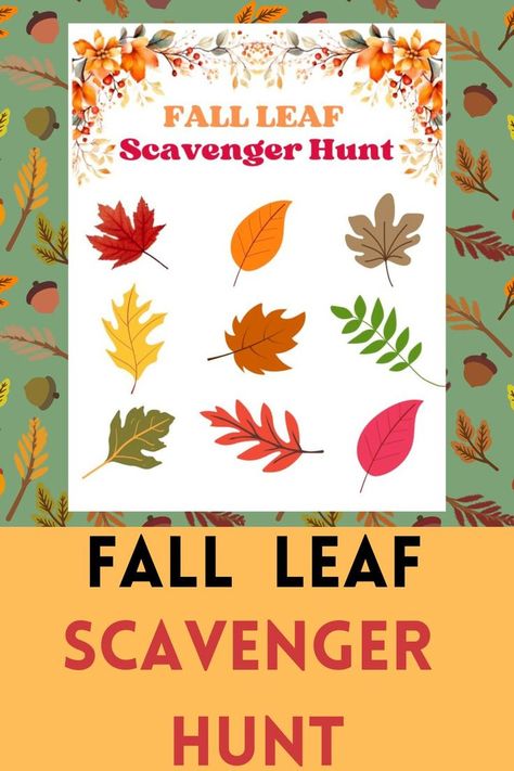 Free Printable Fall Leaf Scavenger Hunt! This is a fun activity to use outdoors or on a nature walk with kids this fall. Find different shapes and colors of leaves on your outdoor adventure. Leaf Scavenger Hunt, Leaf Hunt, Fall Scavenger Hunt, Scavenger Hunt Printable, Scavenger Hunts, Easy Activities, Fall Activities, Fall Leaf, Get Outdoors