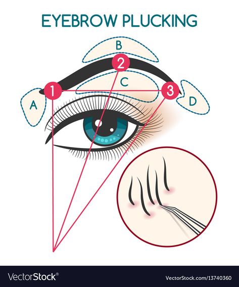 How To Pluck Eyebrows, Pluck Eyebrows, Round Eyebrows, Eyebrow Plucking, Eyebrow Quotes, Cut Crease Tutorial, Plucking Eyebrows, Tweezing Eyebrows, Filling In Eyebrows