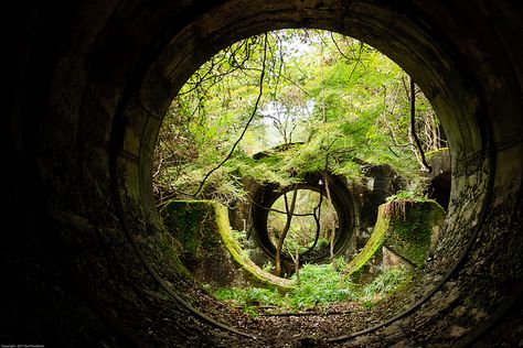 Concrete pipe housings are now reclaimed by nature. by cashonly77, via Flickr Overgrown Steampunk, Shadowbox Ideas, Reclaimed By Nature, Small Architecture, Lost Garden, Magic Places, Tunnel Of Love, Breathtaking Places, Castle Ruins