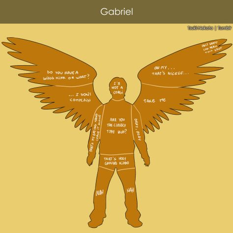 winchesters with wings | Tumblr Gabriel Good Omens Icons, Gabriel Supernatural Icon, Gabriel Spn, Gabriel Supernatural, Supernatural Angels, Supernatural Ships, Fast 8, Supernatural Destiel, Supernatural Beings