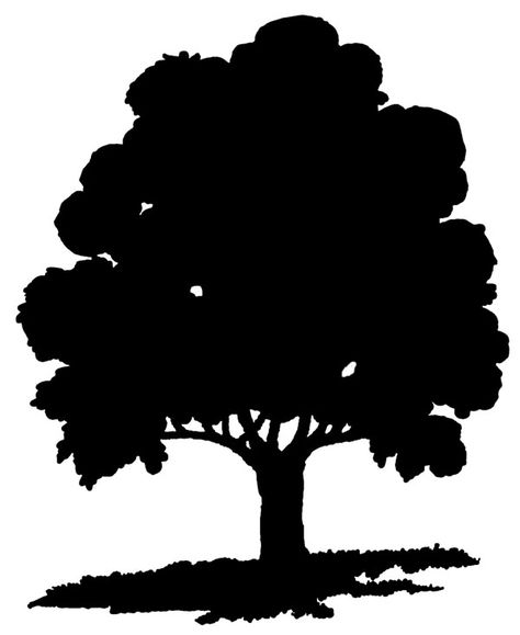 Oak Tree Silhouette so einer als "Logo" auf den Einladungen? Oak Tree Silhouette, Ancestry Scrapbooking, Piskel Art, Silhouette Painting, Free Silhouette, Tree Clipart, Art Resources, Silhouette Clip Art, Tree Carving