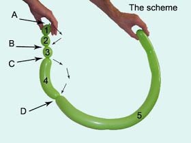 Balloon animals twisting instructions: Balloon snake Snake Balloon Animal, Snake Balloon, Easy Balloon Animals, Snake Birthday, Clown Balloons, Clown Stuff, Reptile Party, Balloon Hat, How To Make Balloon