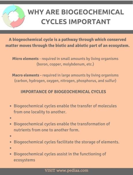 Why are Biogeochemical Cycles Important Check more at https://in4arts.com/why-are-biogeochemical-cycles-important.html Biogeochemical Cycles, School Resources, Toyota Camry, Middle School, Cycling, Toyota, Collage, Pins, Quick Saves