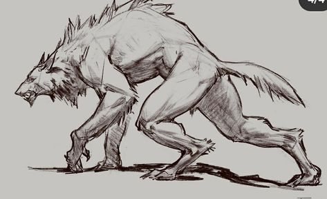 Wendigo Werewolf, How To Draw Werewolf, Wolf Reference Drawing, Cat Creature, Werewolf Poses, Werewolf Base, Werewolf And Human, Werewolf Hands, Werewolf Drawing Reference