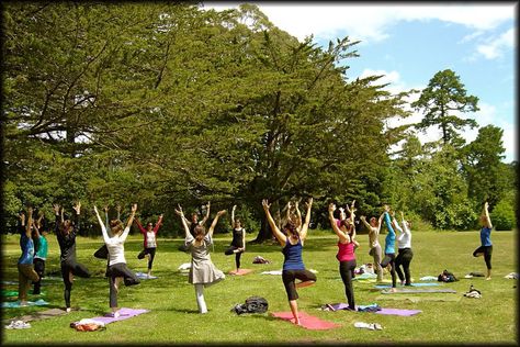 FREE YOGA in Golden Gate Park this Saturday, October 18th!   #SanFrancisco #yoga #fitness #exercise #weekend #activities #SF #SFPMPT #active #outdoors Yoga Garden, Yoga Ashtanga, California Academy Of Sciences, Yoga Trainer, Sport Park, Outdoor Pictures, Yoga Iyengar, Ocean Air, Practice Yoga