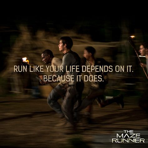 "Run like your life depends on it. Because it does." Maze Runner Quotes, Runner Quotes, Maze Runner The Scorch, Maze Runner Trilogy, Maze Runner Funny, Maze Runner Imagines, Maze Runner Cast, James Dashner, Maze Runner Movie