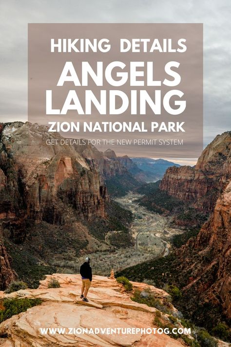 Zion Adventure Photog's Guide To Hiking Angels Landing In Zion National Park | Tips For One Of The Best Hikes In Southern Utah | Sign Up For Our Free Zion 101 Guide https://www.zionadventurephotog.com/zionguide #southernutah, #hikingispiration,#visitutah, #zionnationalpark, #angelslanding #zionnationalparkphotographer Zion Hikes, Angels Landing Zion National Park, Outdoor Adventure Photography, Angels Landing Zion, Angels Landing, Adventure Landscape, Summer Hiking, National Park Vacation, National Park Road Trip