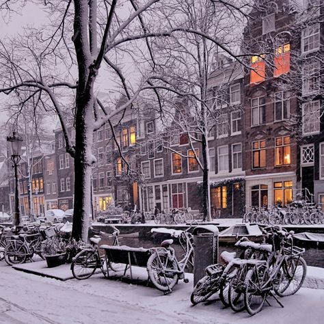 Amsterdam Wallpaper, Amsterdam Winter, Amsterdam Holland, Travel Winter, I Amsterdam, Living In Europe, Europe Winter, Evening Walk, Summer Trip