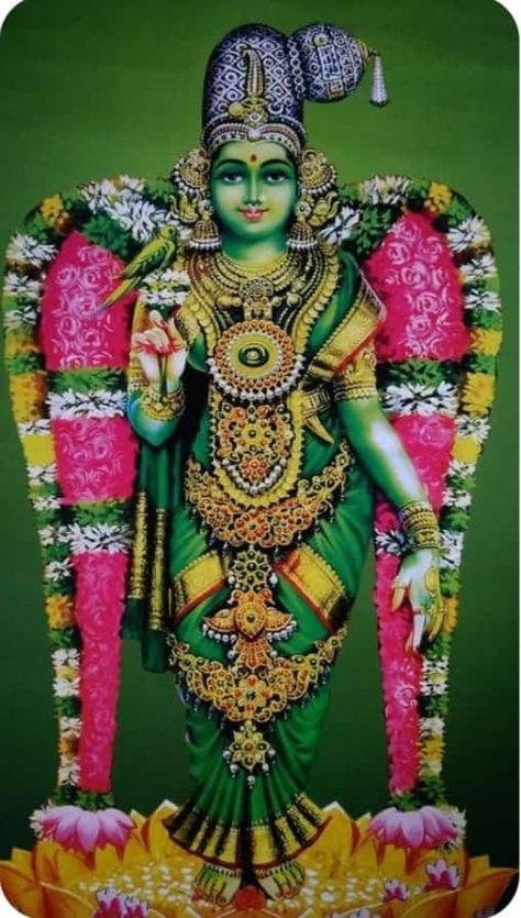 Mata Parvati, Iyyapan Images Hd Wallpaper, Meenakshi Amman, Bull Images, All God Images, God Venkateswara Images Hd Wallpaper, Devi Images Hd, Aadi Shakti, Lord Murugan Wallpapers