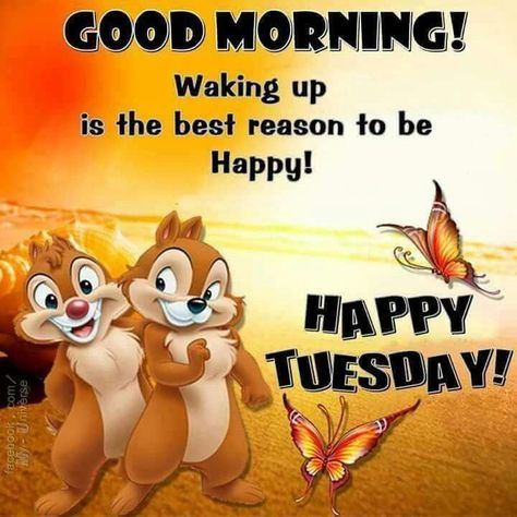 Happy Tuesday Morning, Tuesday Quotes Good Morning, Funny Good Morning, Funny Good Morning Images, Happy Tuesday Quotes, Happy Day Quotes, Good Morning Tuesday, Tuesday Quotes, Good Morning Happy Sunday