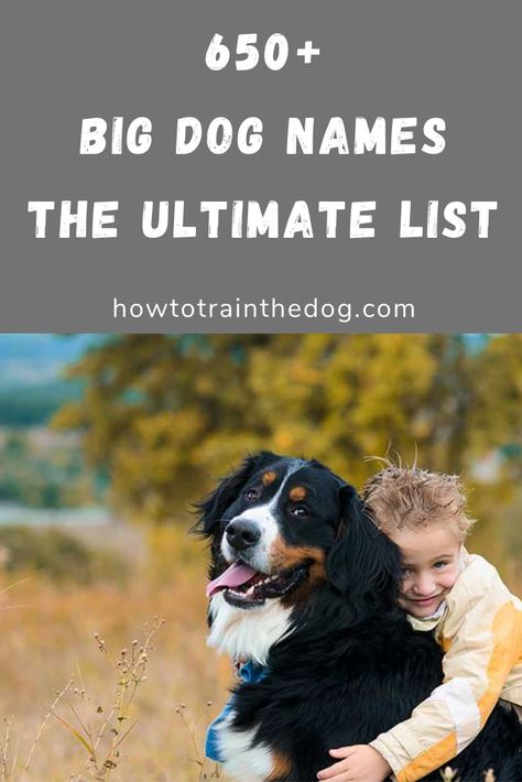 Big Dog Names Male, Big Dog Names, Dogs Names List, Cute Big Dogs, Dog Name Ideas, Funny Dog Names, Rhyming Names, Boy Dog Names, Girl Dog Names