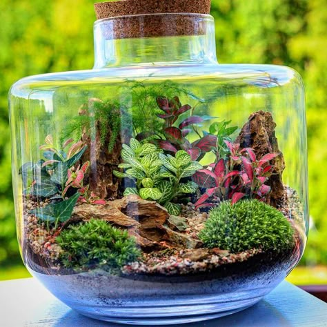 Terrarium Ideas Unique, Succulent Plants Indoor, Indoor Terrarium, Glass Jar Diy, Centerpiece Succulent, Terrarium Scene, Succulent Planting, Unique Terrarium, Build A Terrarium