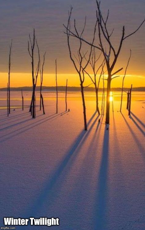 Striking Shadows Beautiful Winter Pictures, Winter Sunset, Winter Scenery, Winter Beauty, Winter Pictures, Winter Wonder, Winter Photography, Winter Landscape, Winter Scenes