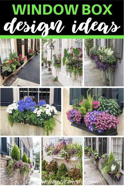 Window Box Design Ideas | Outdoor Decorating Window Box Design, Flower Box Ideas, Pretty Landscaping, Box Design Ideas, Green Mountain Boxwood, Flower Combinations, Impatiens Plant, Window Box Plants, Coral Bells Heuchera